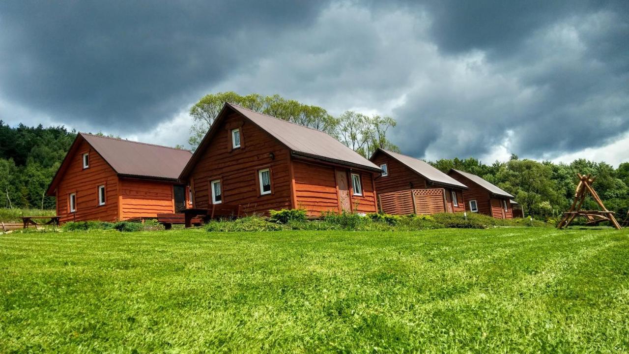Vila U Zrodel Strwiaza Ustrzyki Dolne Exteriér fotografie